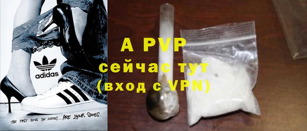 эйфоретик Баксан