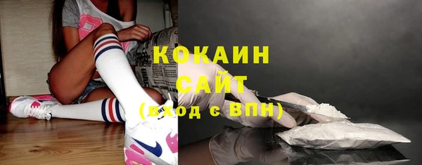 стаф Балахна