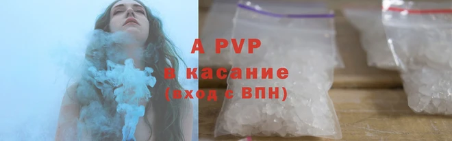 стаф Балахна