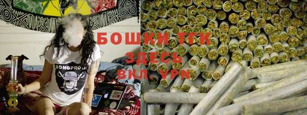 стаф Балахна
