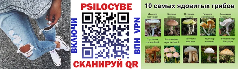 где купить наркоту  Чусовой  Галлюциногенные грибы Magic Shrooms 